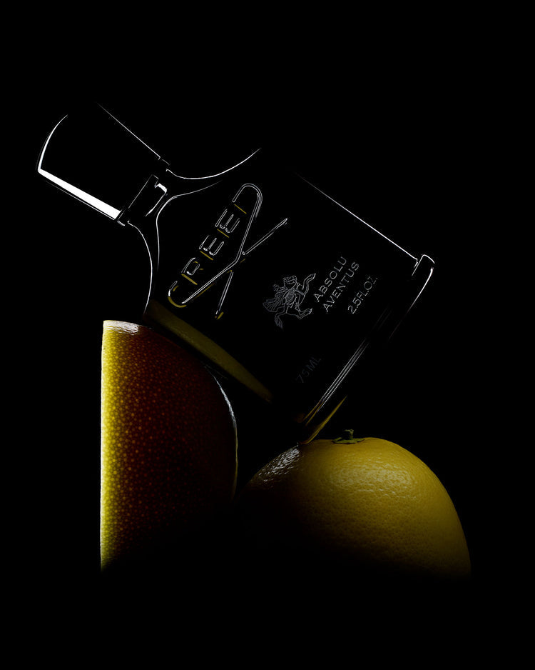 Absolu Aventus